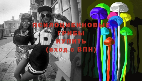 ешки Бронницы