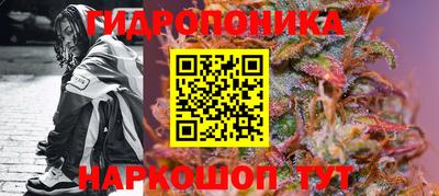 spice Мариинск