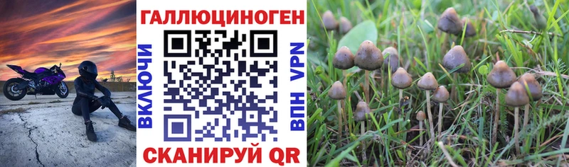 Галлюциногенные грибы мухоморы  Гатчина 