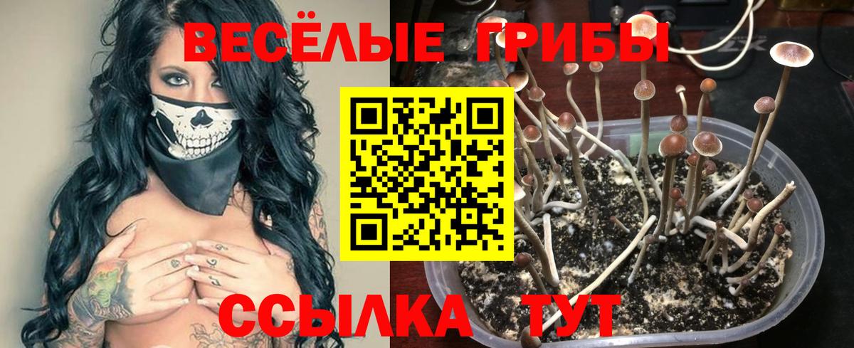 Галлюциногенные грибы Magic Shrooms Гатчина