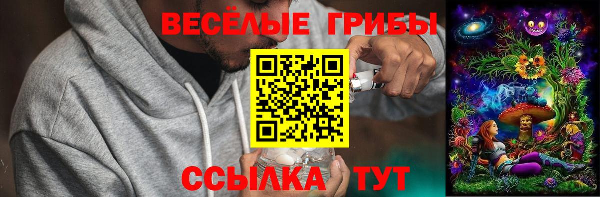Гатчина  Галлюциногенные грибы мухоморы  купить наркоту  Вход с VPN 